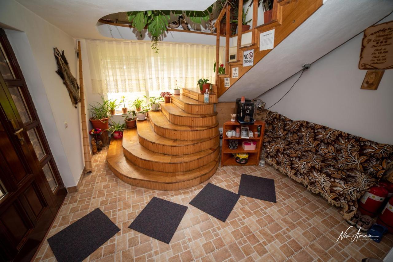 Casa Binu Hotel Arieşeni Buitenkant foto
